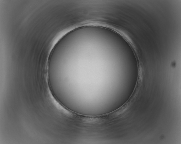 X0000116681247200912291713