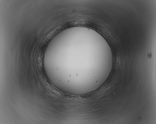 X0000116681250200912291712