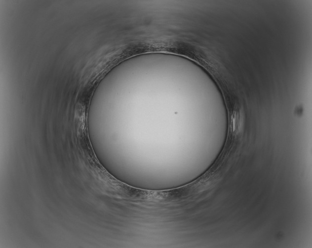 X0000116681251200912291712