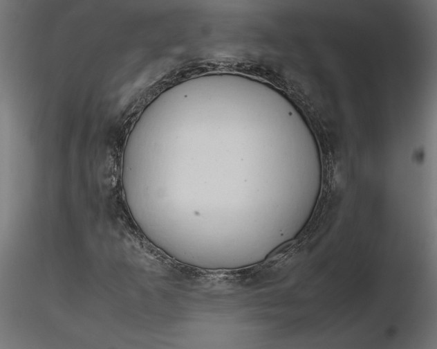 X0000116681253200912291712