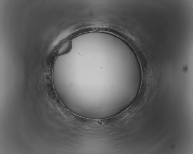 X0000116681255200912291712