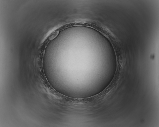 X0000116681256200912291712