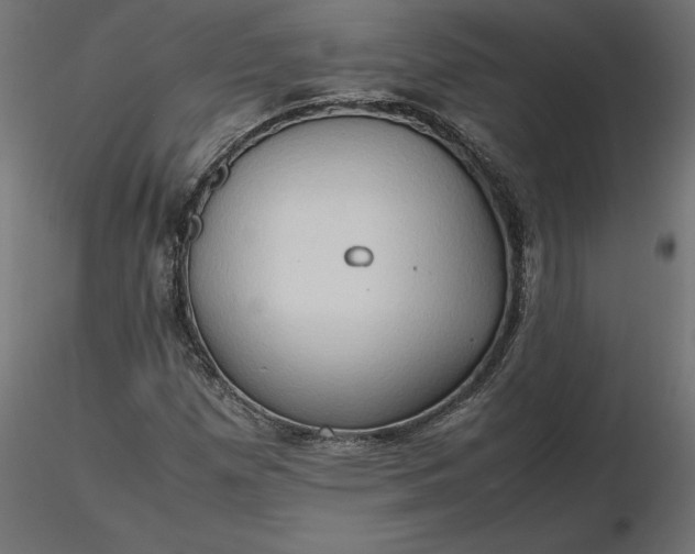 X0000116681257200912291712