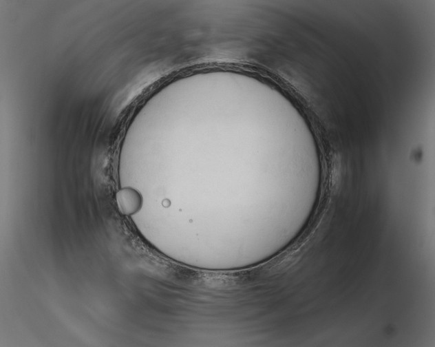 X0000116681258200912291712