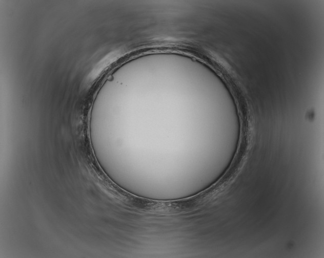 X0000116681259200912291712