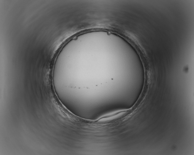 X0000116681260200912291712