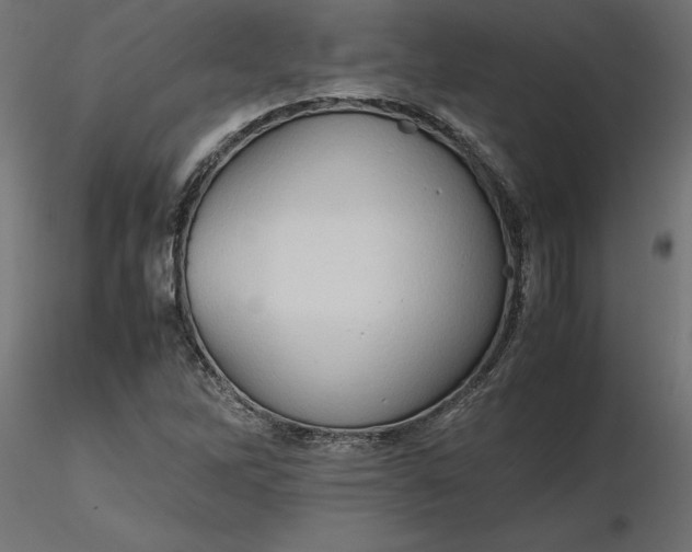 X0000116681262200912291712