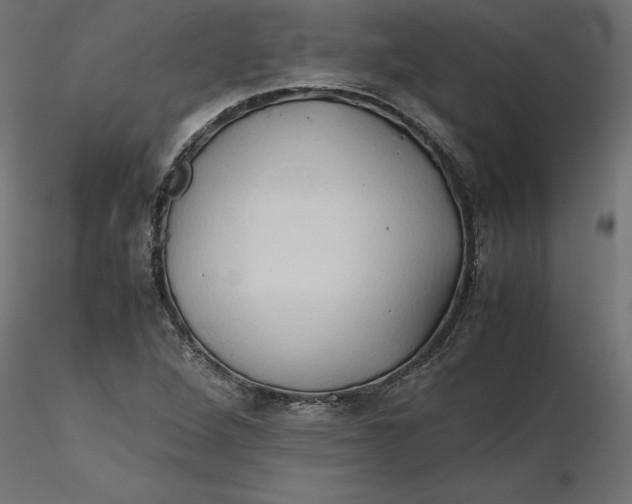 X0000116681264200912291712