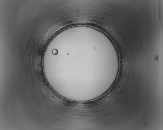 X0000116681265200912291712