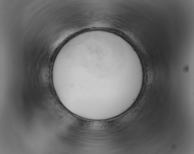 X0000116681266200912291712