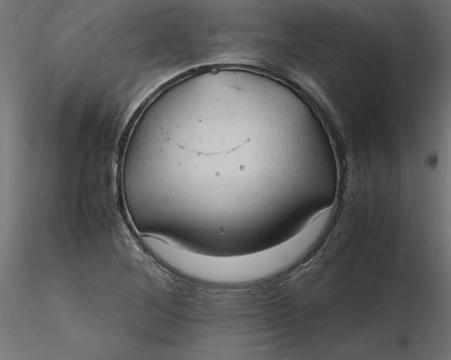 X0000116681268200912291712