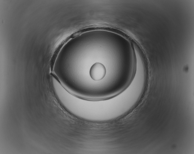 X0000116681269200912291712