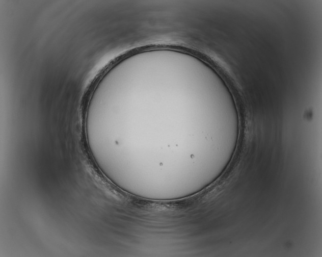 X0000116681270200912291712