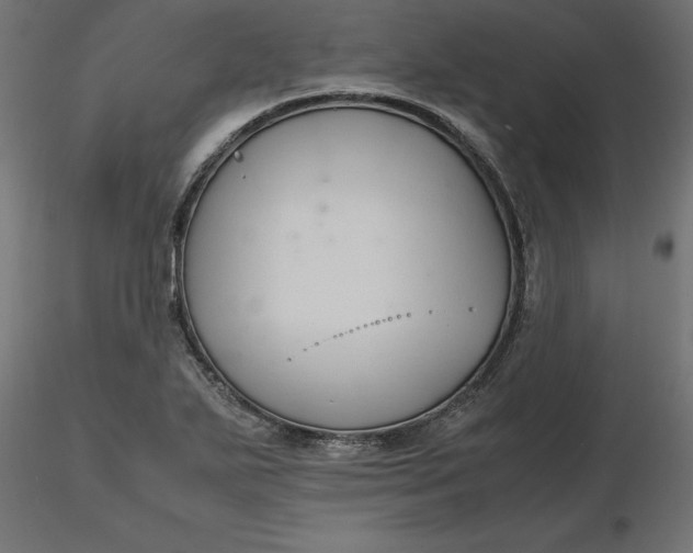 X0000116681271200912291712