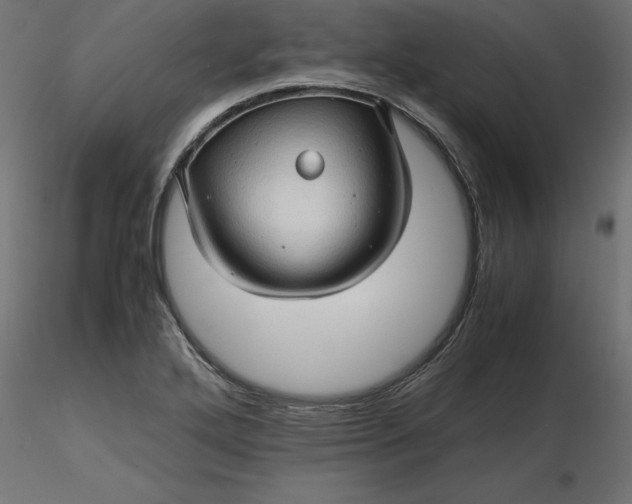 X0000116681272200912291712