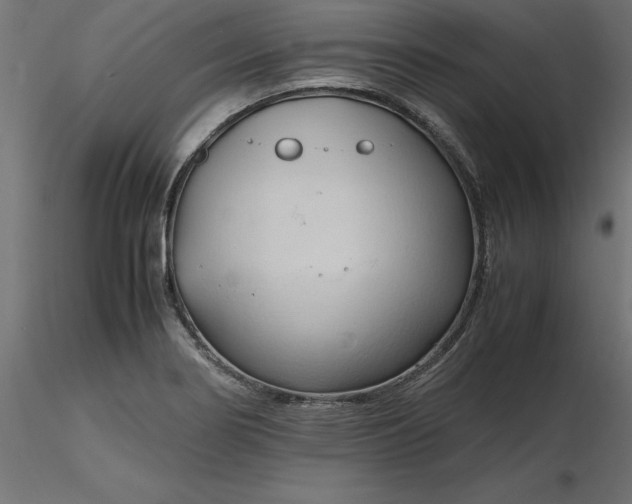 X0000116681274200912291712