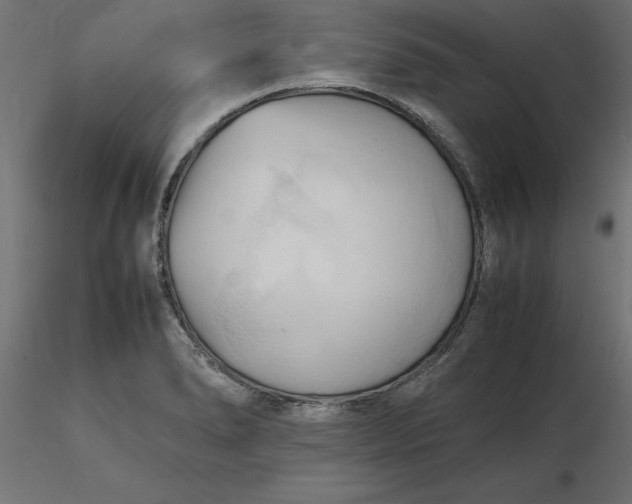 X0000116681278200912291712