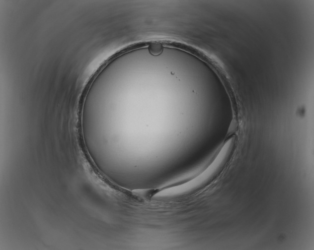 X0000116681279200912291712