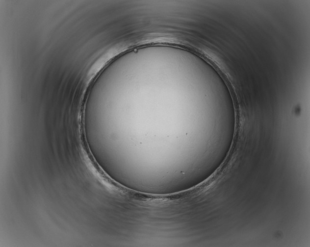 X0000116681282200912291712