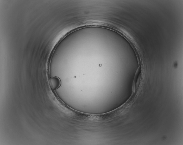 X0000116681283200912291712