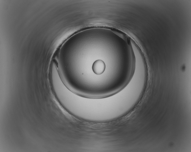 X0000116681285200912291712