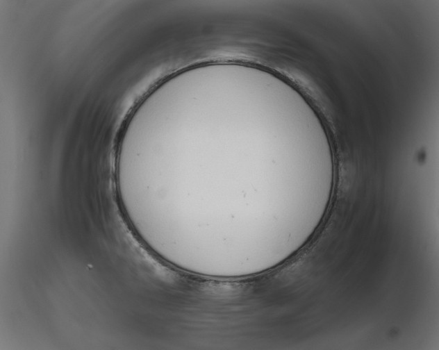 X0000116681286200912291712