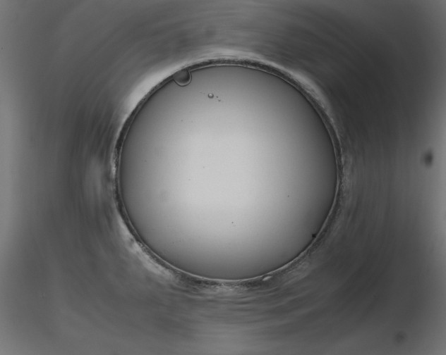 X0000116681287200912291711