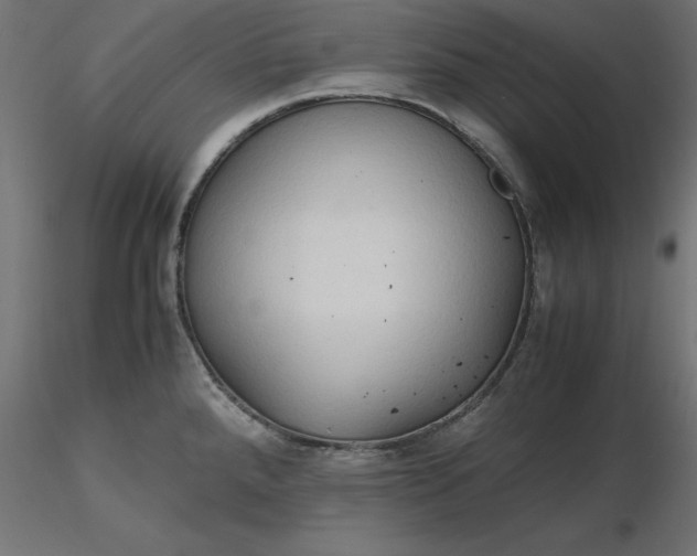 X0000116681288200912291711