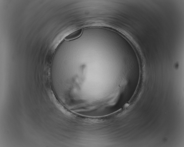 X0000116681289200912291711