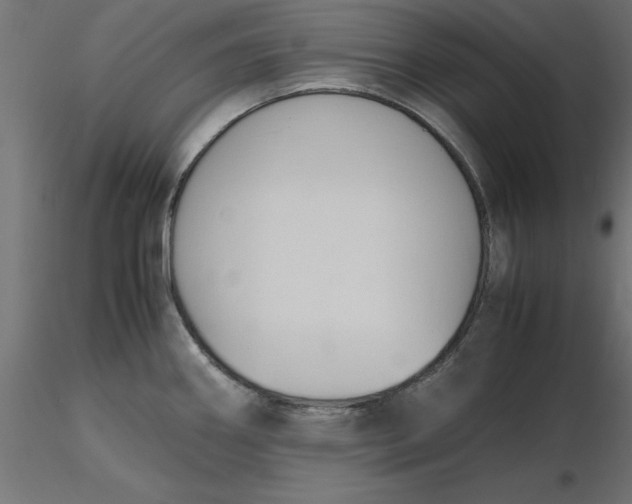 X0000116681290200912291711