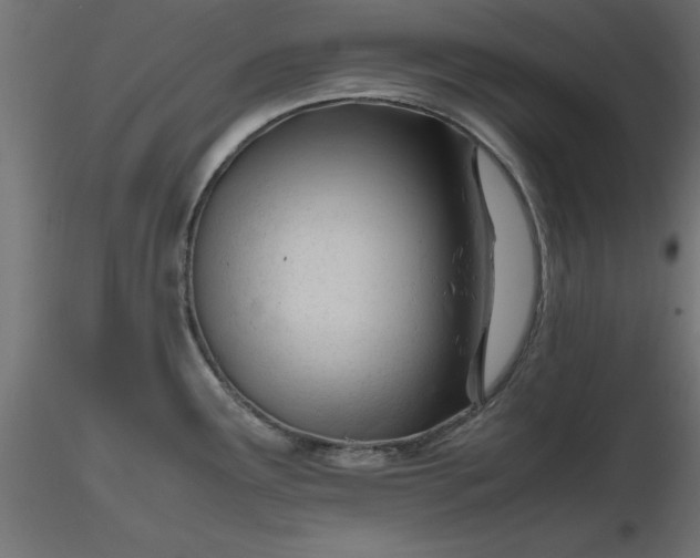 X0000116681291200912291711