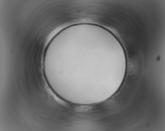 X0000116681294200912291711