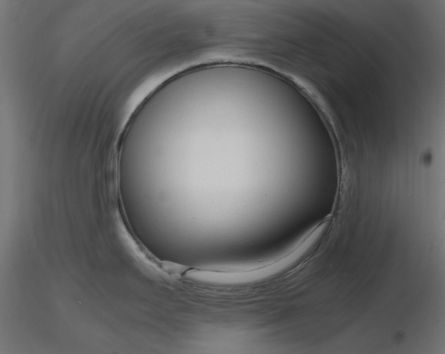 X0000116681295200912291711