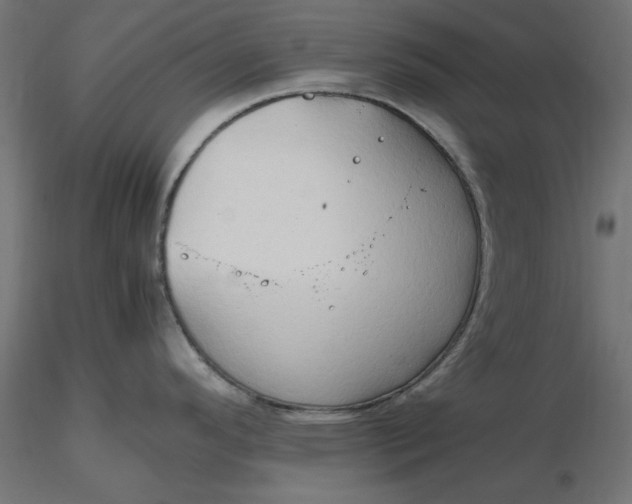 X0000116681296200912291711