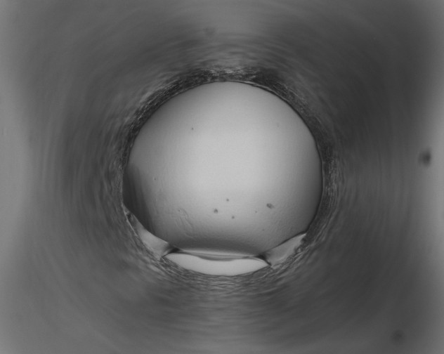 X0000116681297200912291711