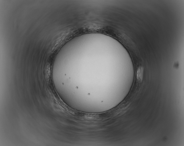 X0000116681299200912291711