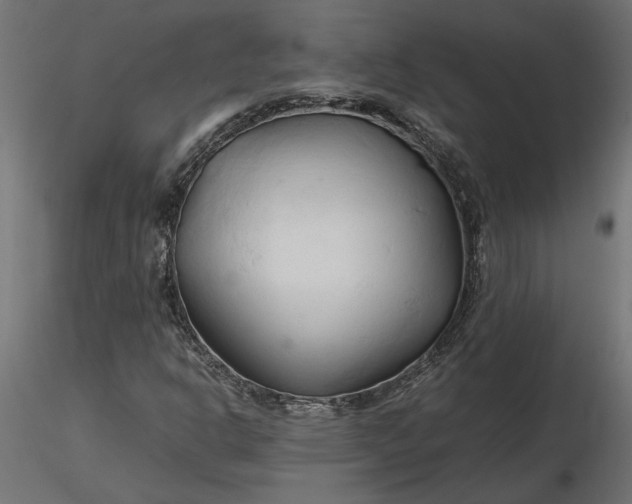 X0000116681302200912291711