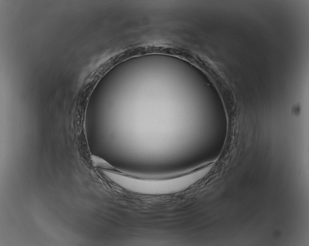 X0000116681303200912291711