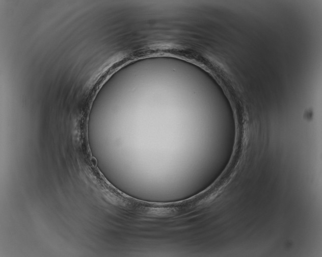 X0000116681305200912291711