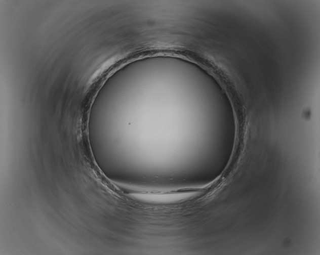 X0000116681306200912291711