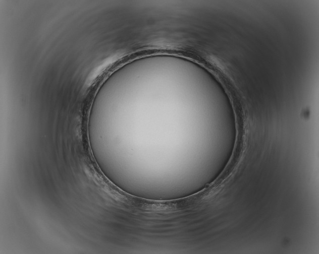 X0000116681307200912291711