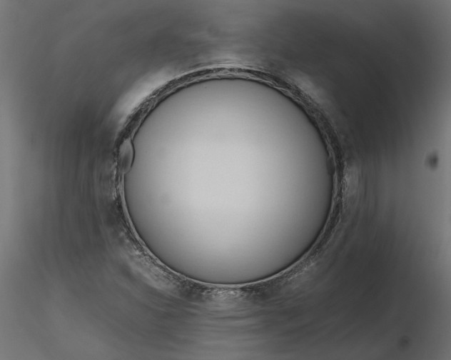 X0000116681310200912291711