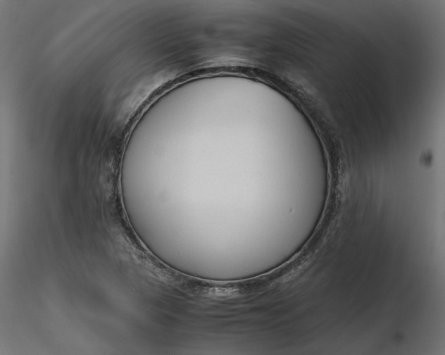 X0000116681313200912291711