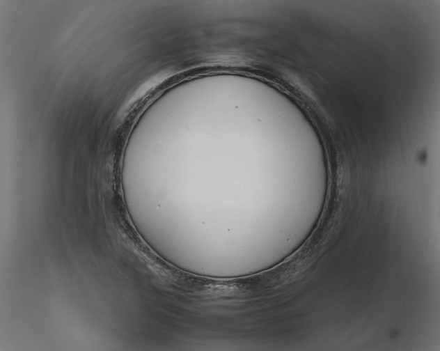 X0000116681315200912291711