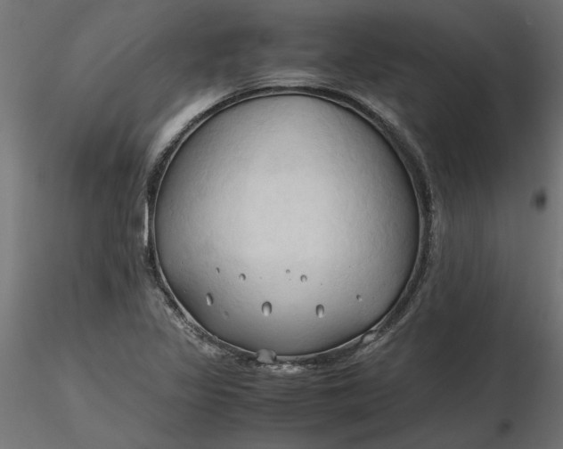 X0000116681317200912291711