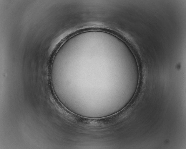 X0000116681318200912291711