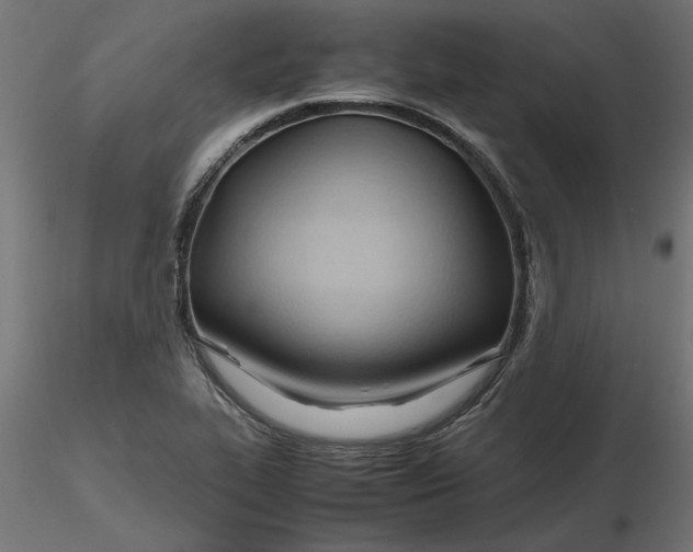 X0000116681319200912291711