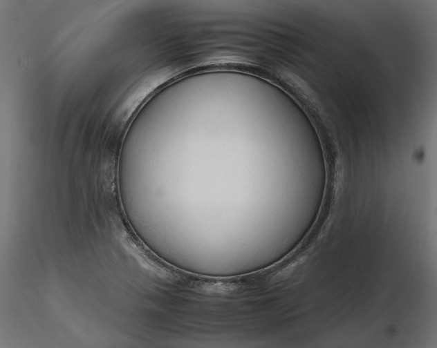 X0000116681321200912291711