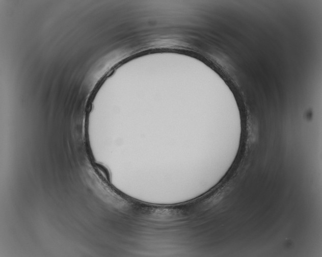 X0000116681322200912291711