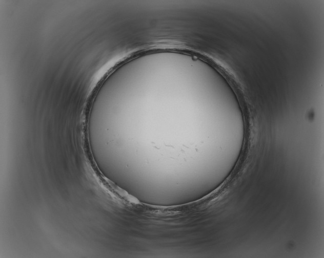 X0000116681325200912291711